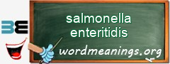 WordMeaning blackboard for salmonella enteritidis